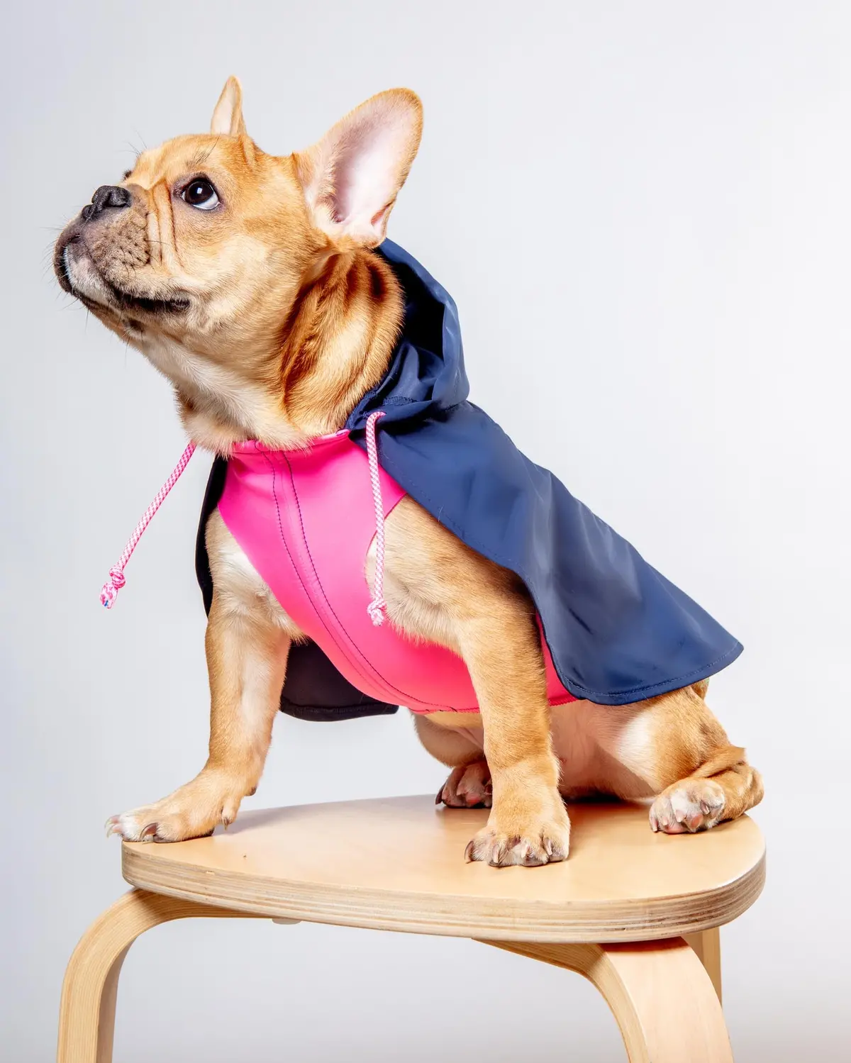 Action Jacket Pull-On Raincoat In Navy + Neon Pink (Made In Nyc) 1