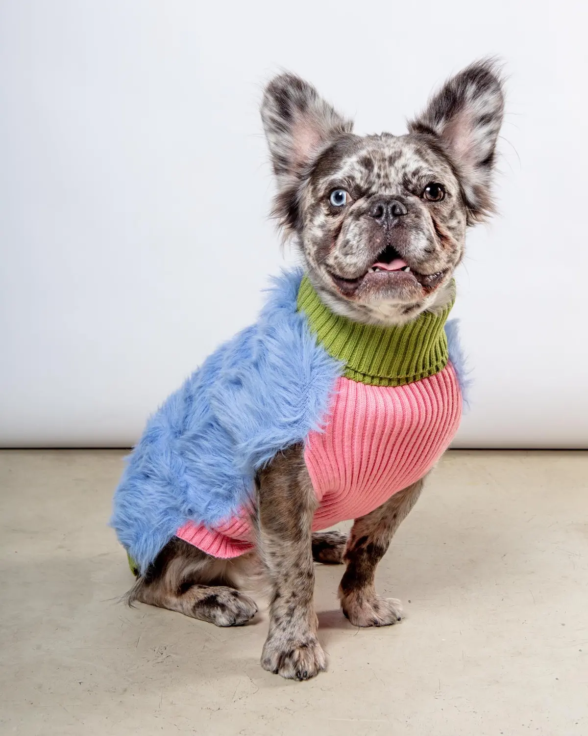 Faux Fur Dog Sweater (Final Sale) 1