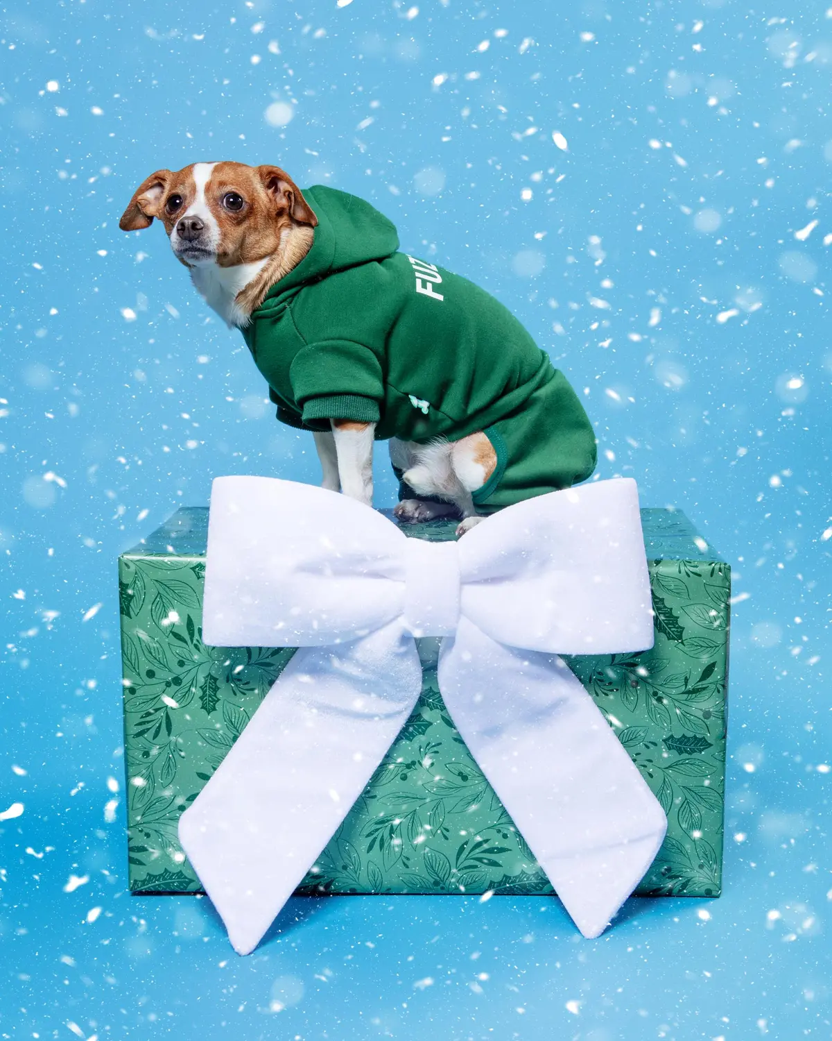Urban Dog Tracksuit In Green (Final Sale) 1