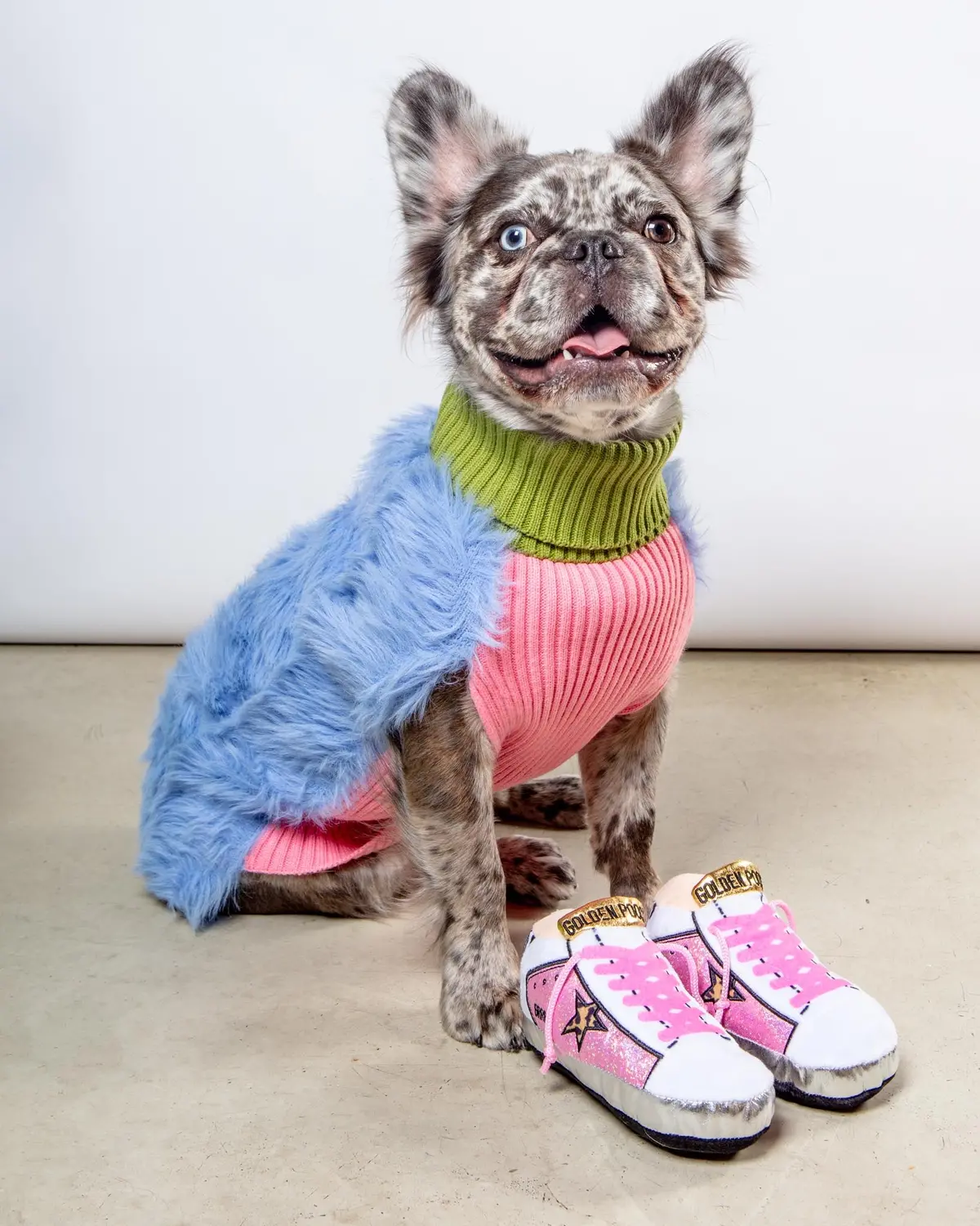 Golden Pooch Sneaker Plush Dog Toy In Pink 1