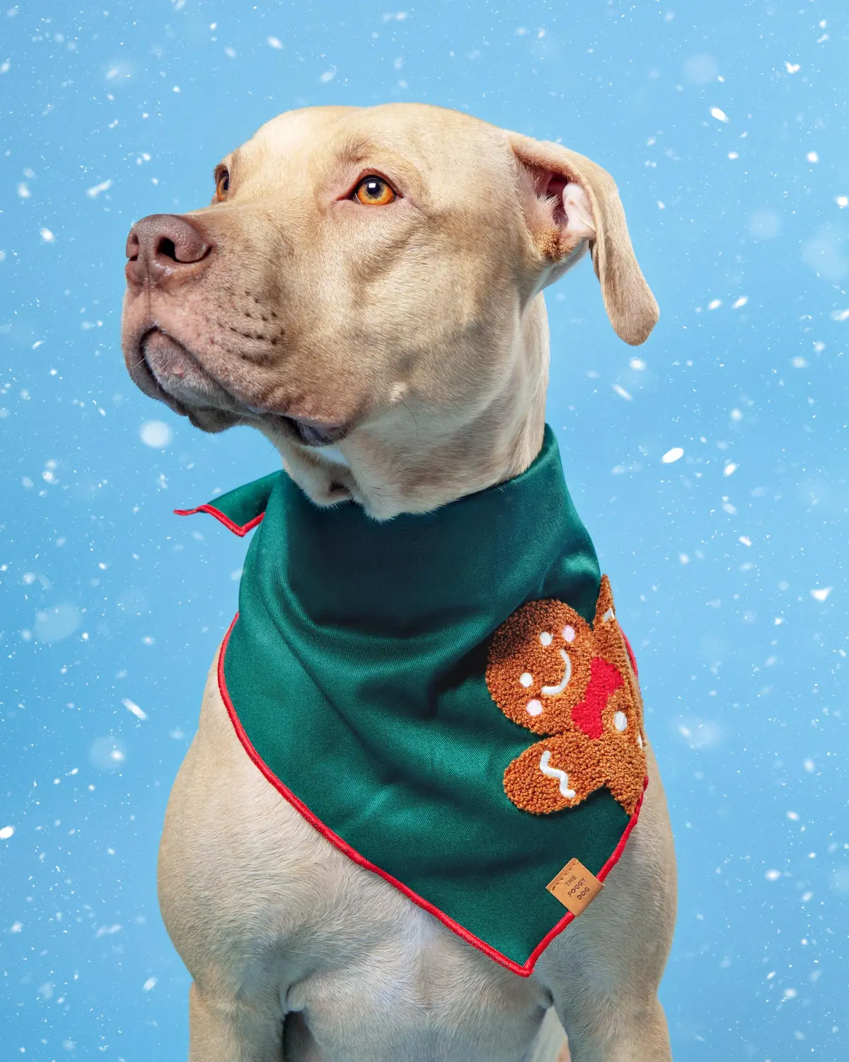 Gingerbread Man Applique Dog Bandana (Made In The Usa) 1