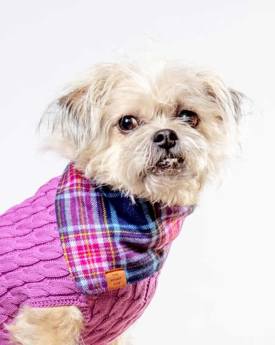 Camilla Flannel Plaid Dog Bandana (Made In The Usa) 1