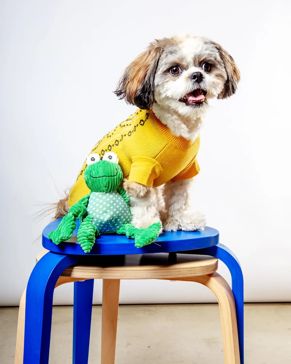 Fergie Frog Knottie Dog Plush Toy 1