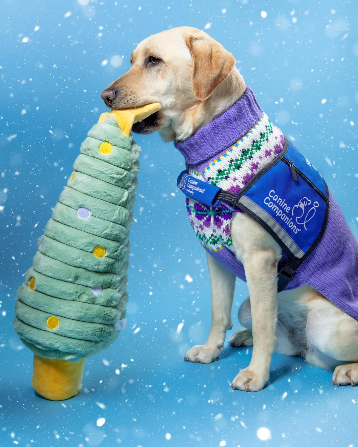 Twinkly Christmas Tree Squeaky Plush Dog Toy (26") 1