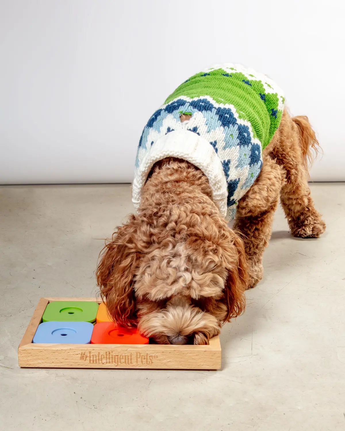 Sudoku Dog Treat Puzzle Game In Rainbow Edition (6 Squares) 2