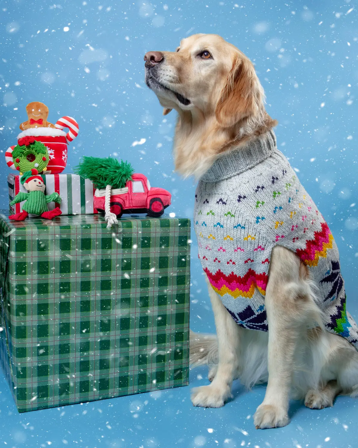 Rainbow Snowflake Wool Dog Sweater (Final Sale) 1