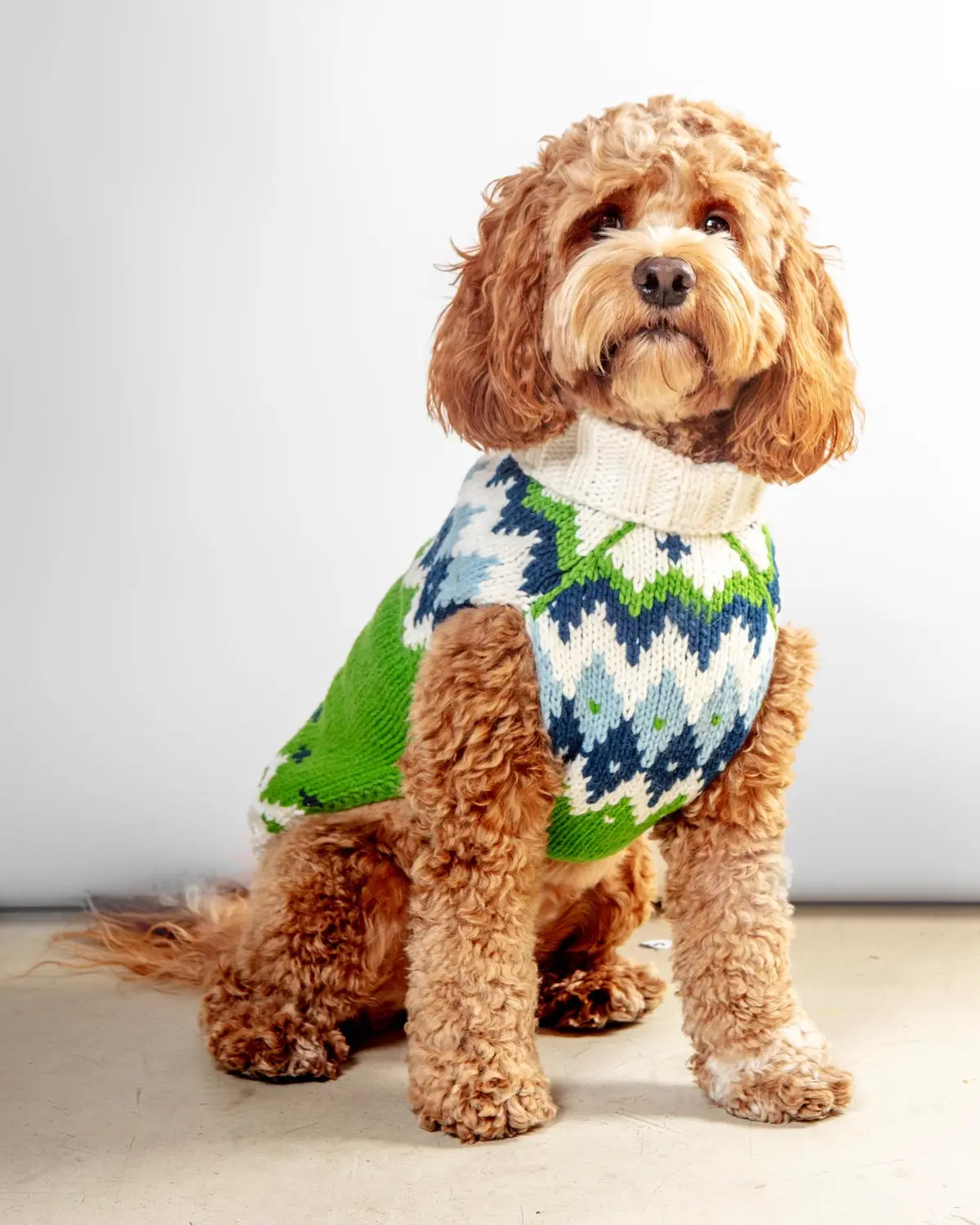 Ski Bum Dog Sweater In Green (Final Sale) 1