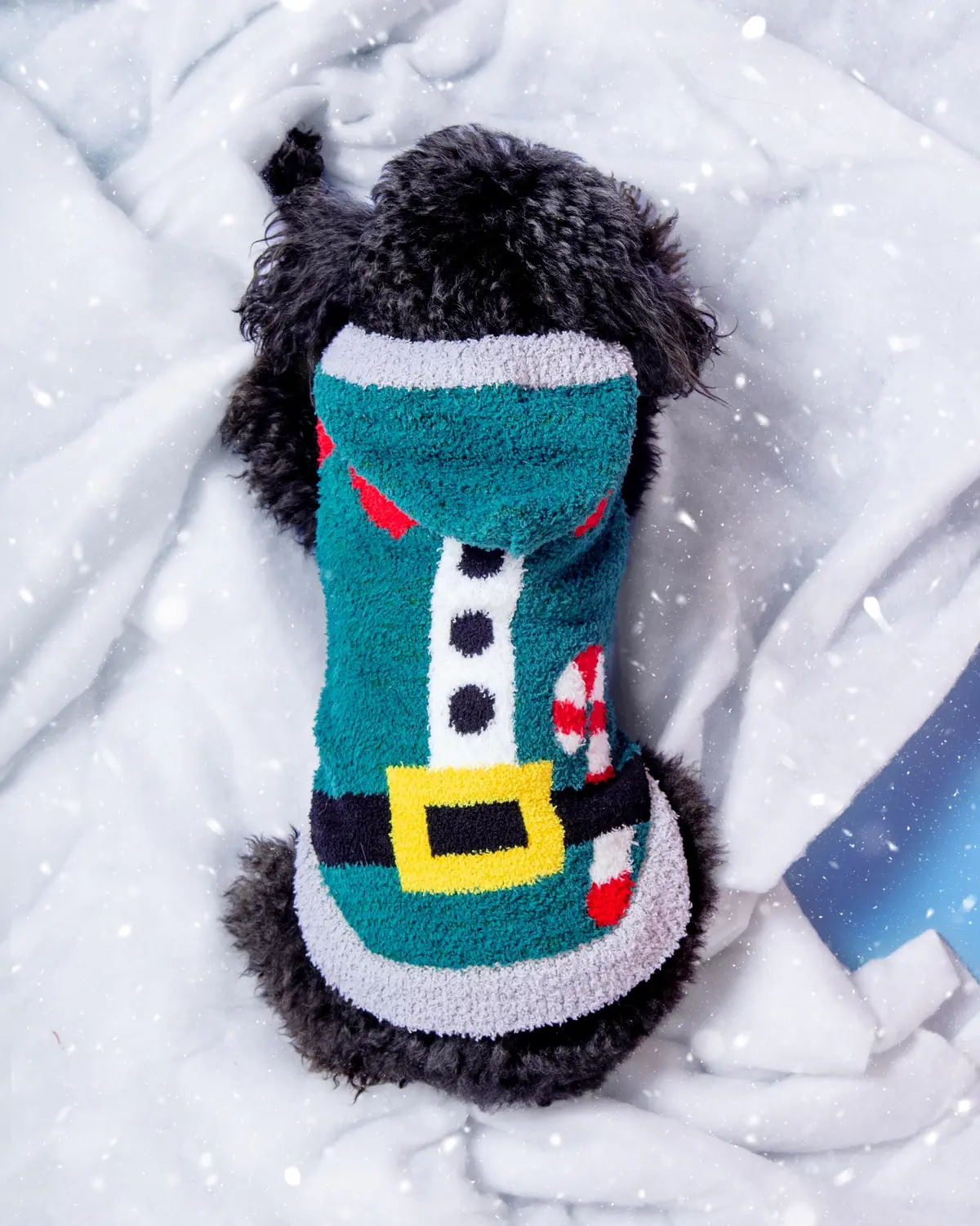Chenille Elf Dog Hoodie 1