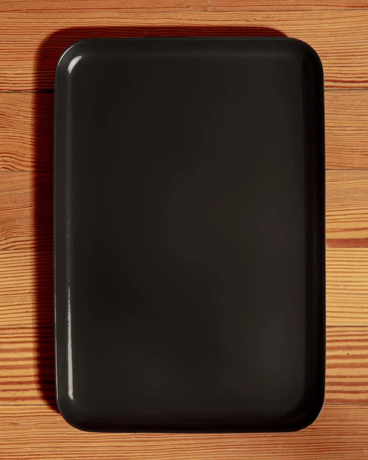 Fresco Dog Bowl Tray In Black (Final Sale) 1