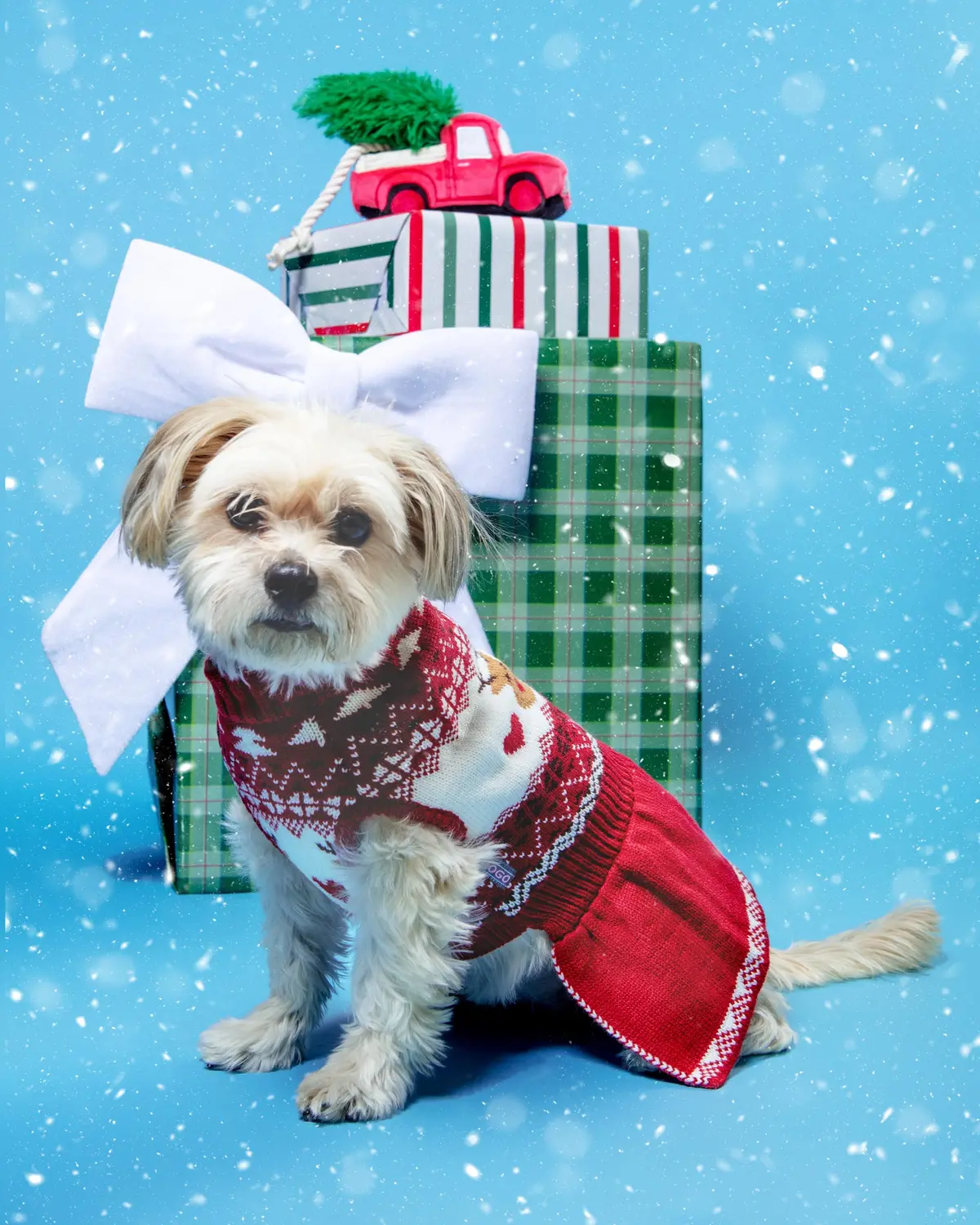 Reindeer Knit Sweater Dog Dress 1