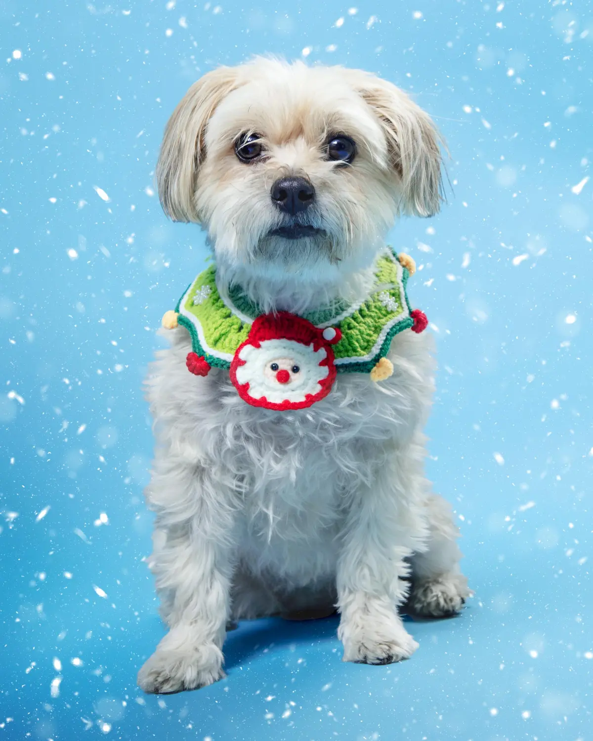 Santa In Snowflakes Crochet Pet Bandana 1