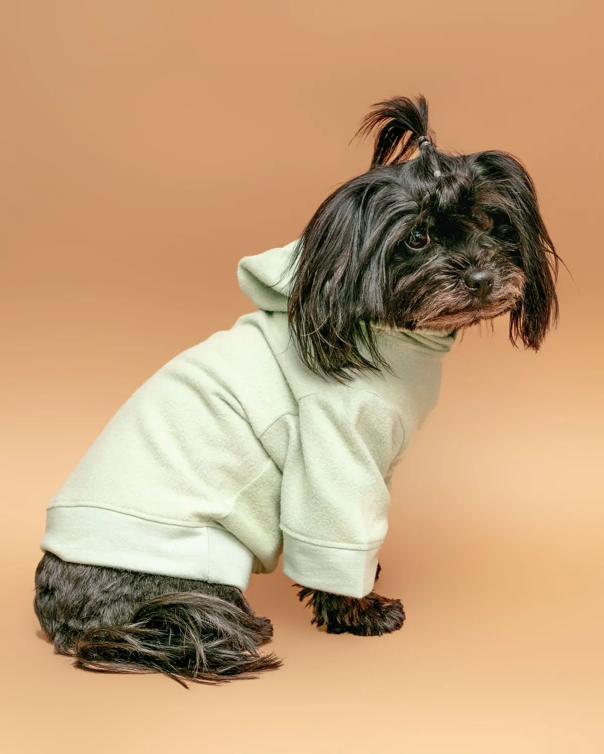 The Basics Dog Hoodie In Summer Seafoam (Made In The Usa) << Clearance >> 1