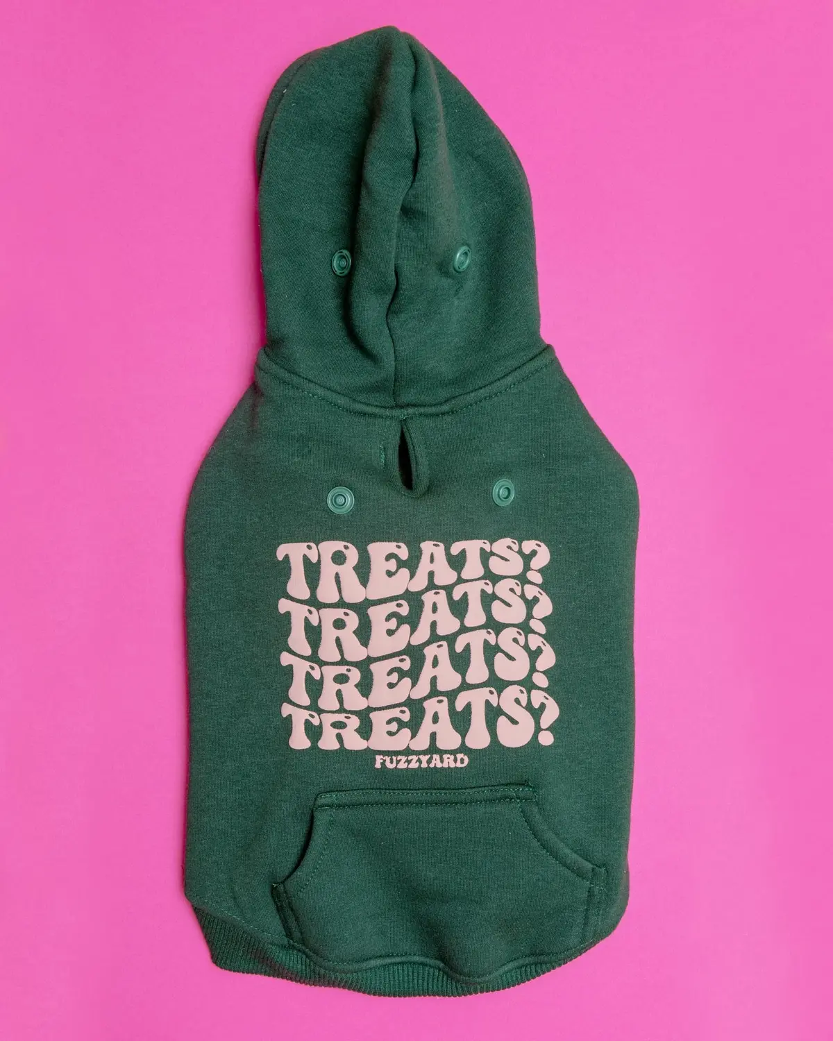 Treats Treats Treats Dog Hoodie In Green (Final Sale) 1