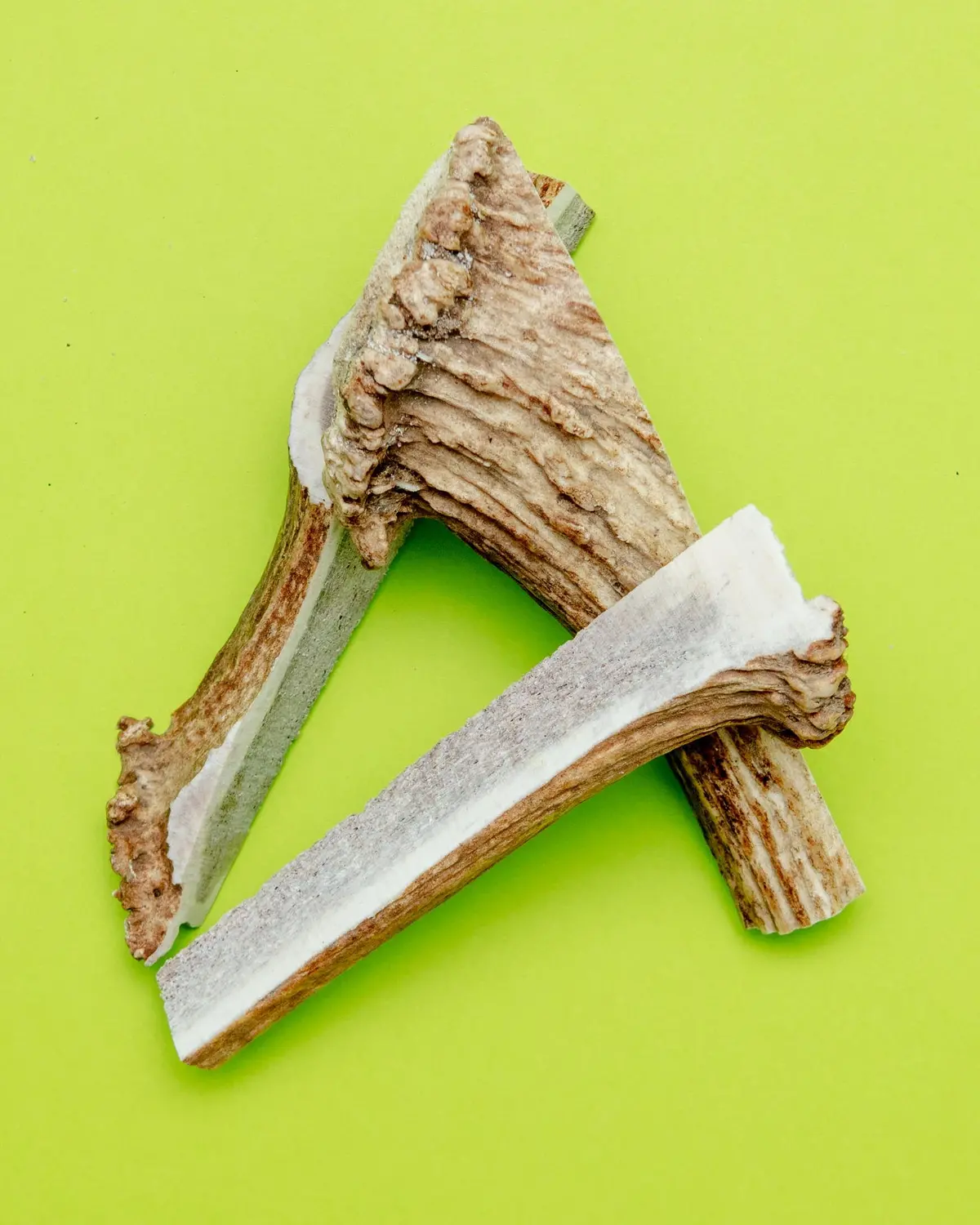 Split Elk Antler Dog Single Chew 1