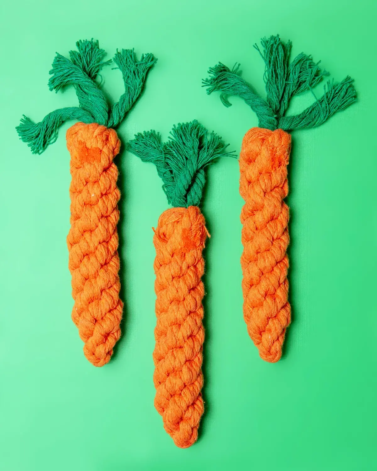 Eco-Friendly Carrot Rope Dog Toy 1