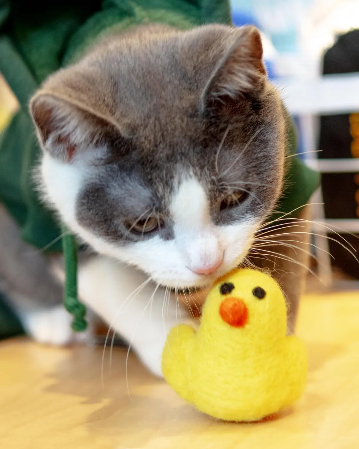 Little Chick Natural Wool Catnip Cat Toy 1
