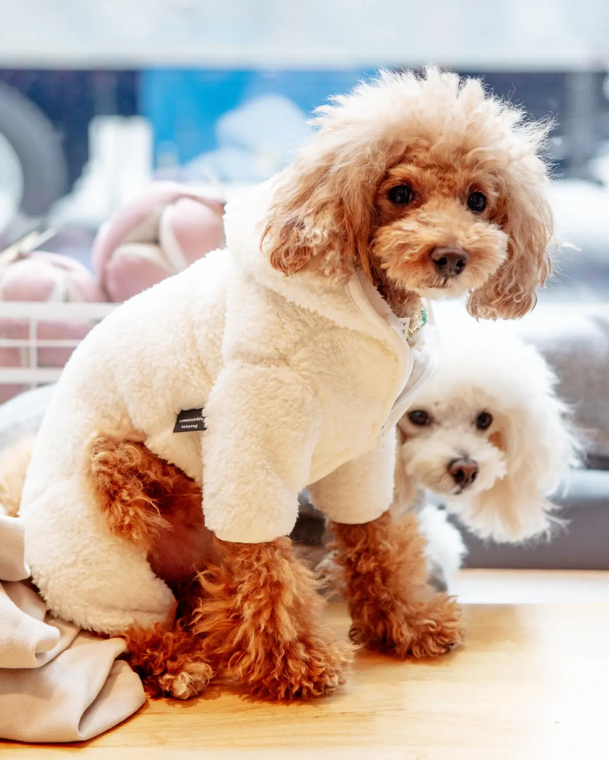Boa Fleece Onesie In Cream (Dog & Co. Exclusive) (Final Sale) 1