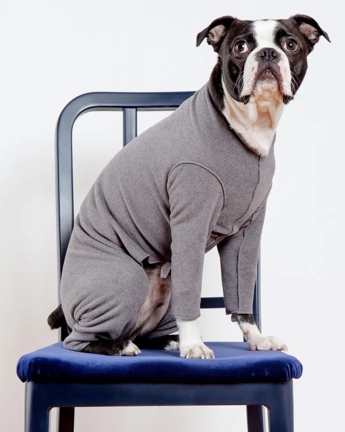 Stretch Fleece Onesie In Charcoal (Made In The Usa, Dog & Co. + Gold Paw Exclusive!) 1
