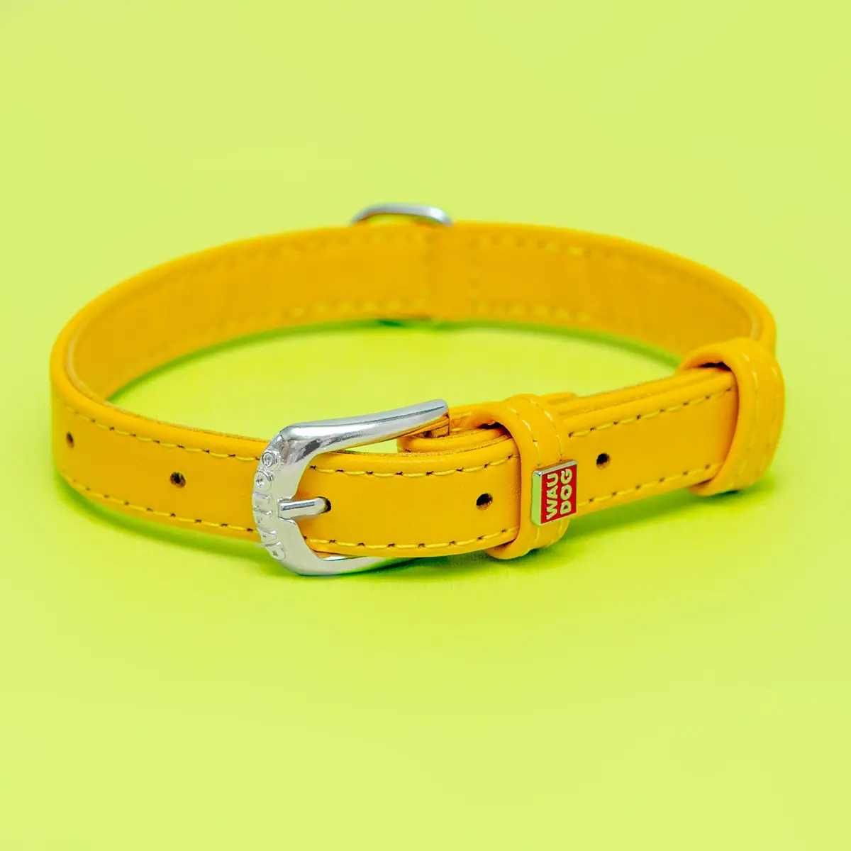 Golden Sunshine Leather Dog Collar << Final Sale >> 1