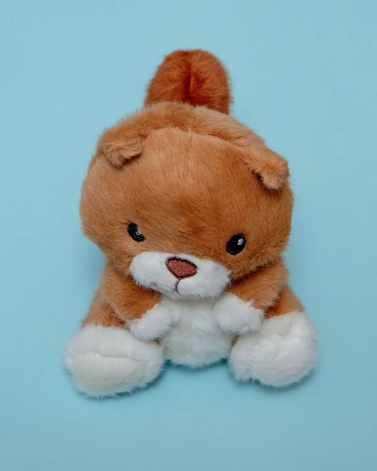 Nutmeg Squeaky Ball Plush Dog Toy 1