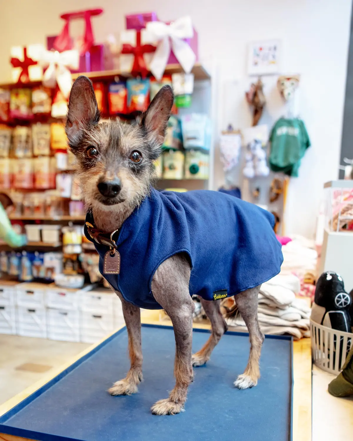 Stretch Fleece In Navy Blue 1
