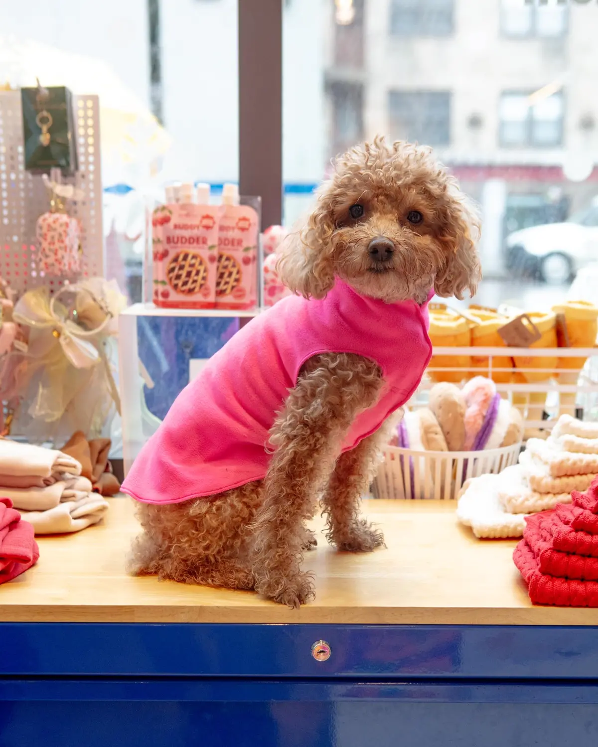 Pullover Stretch Dog Fleece In Neon Pink (Made In The Usa) 1