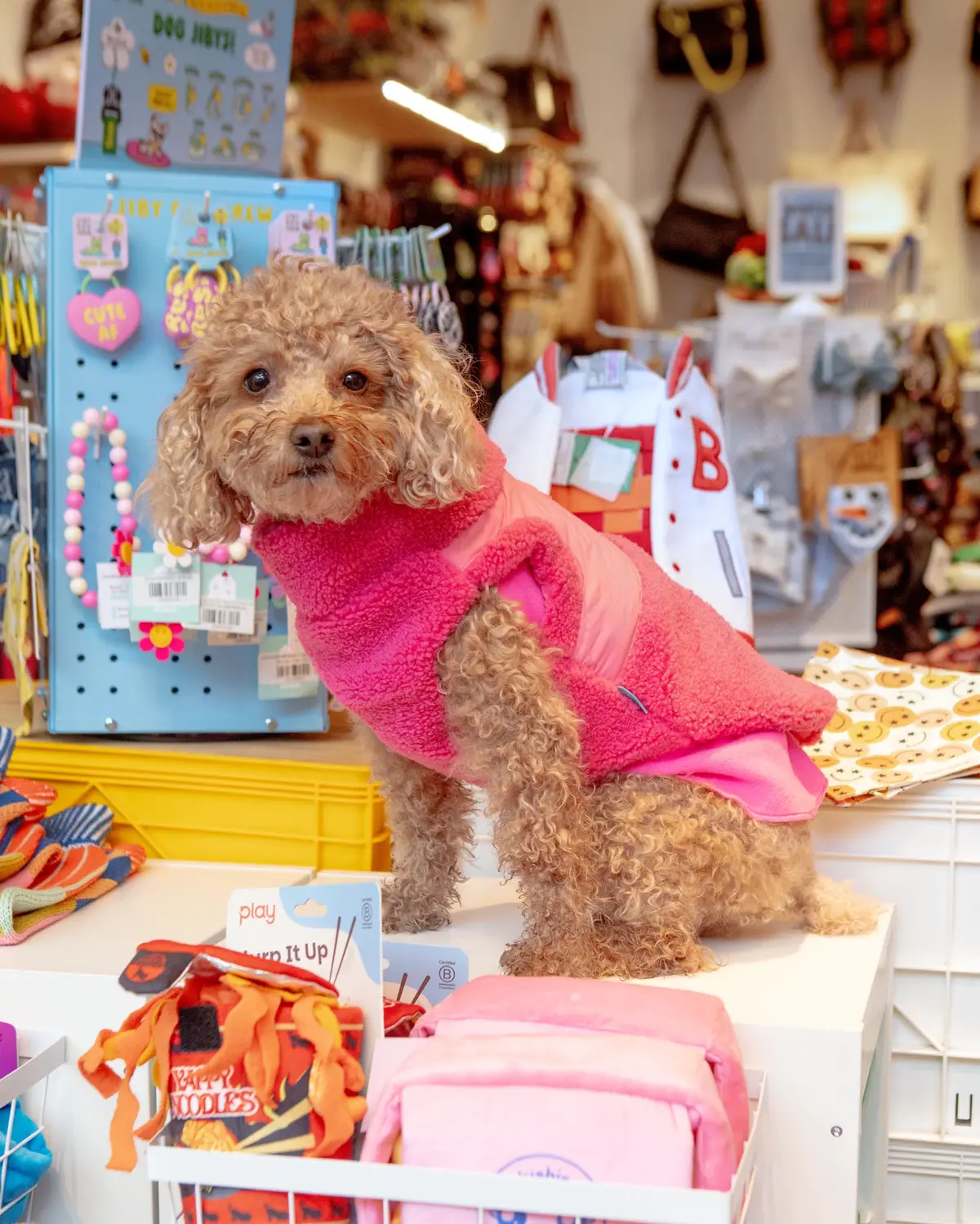 Zip Up Sherpa Dog Harness Vest In Pink (Final Sale) 1