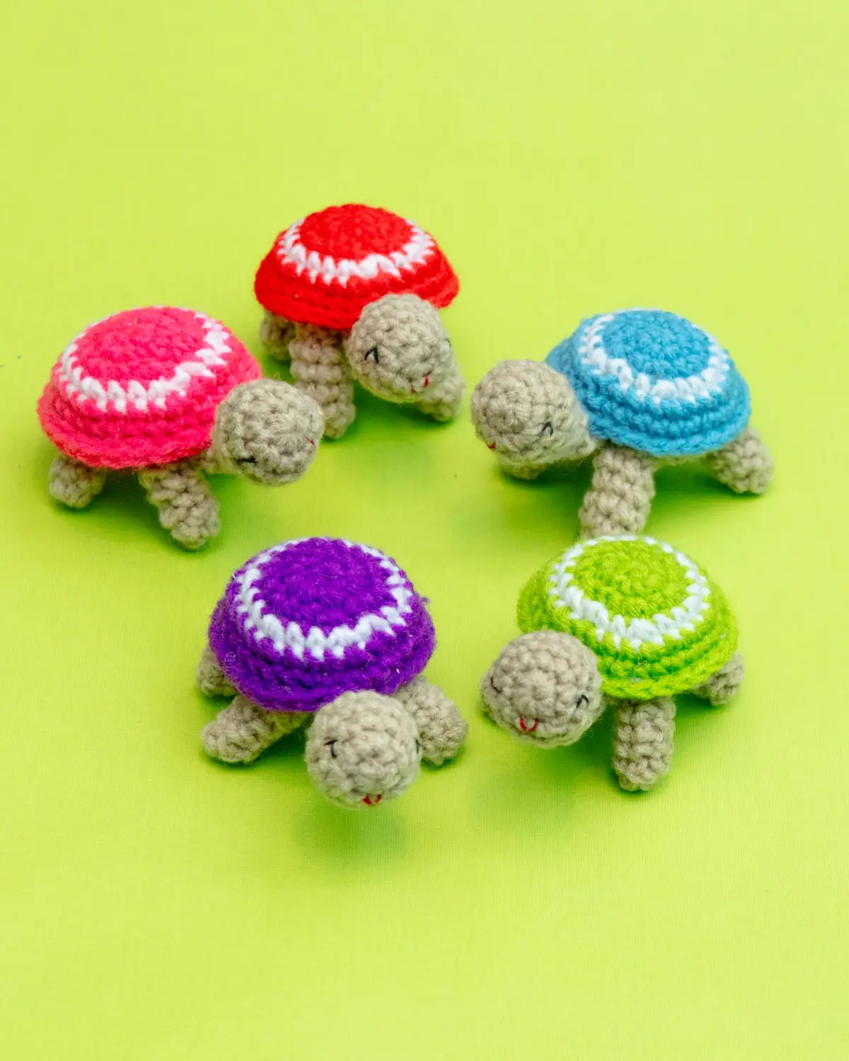 Lil' Turtle Catnip Toy 1