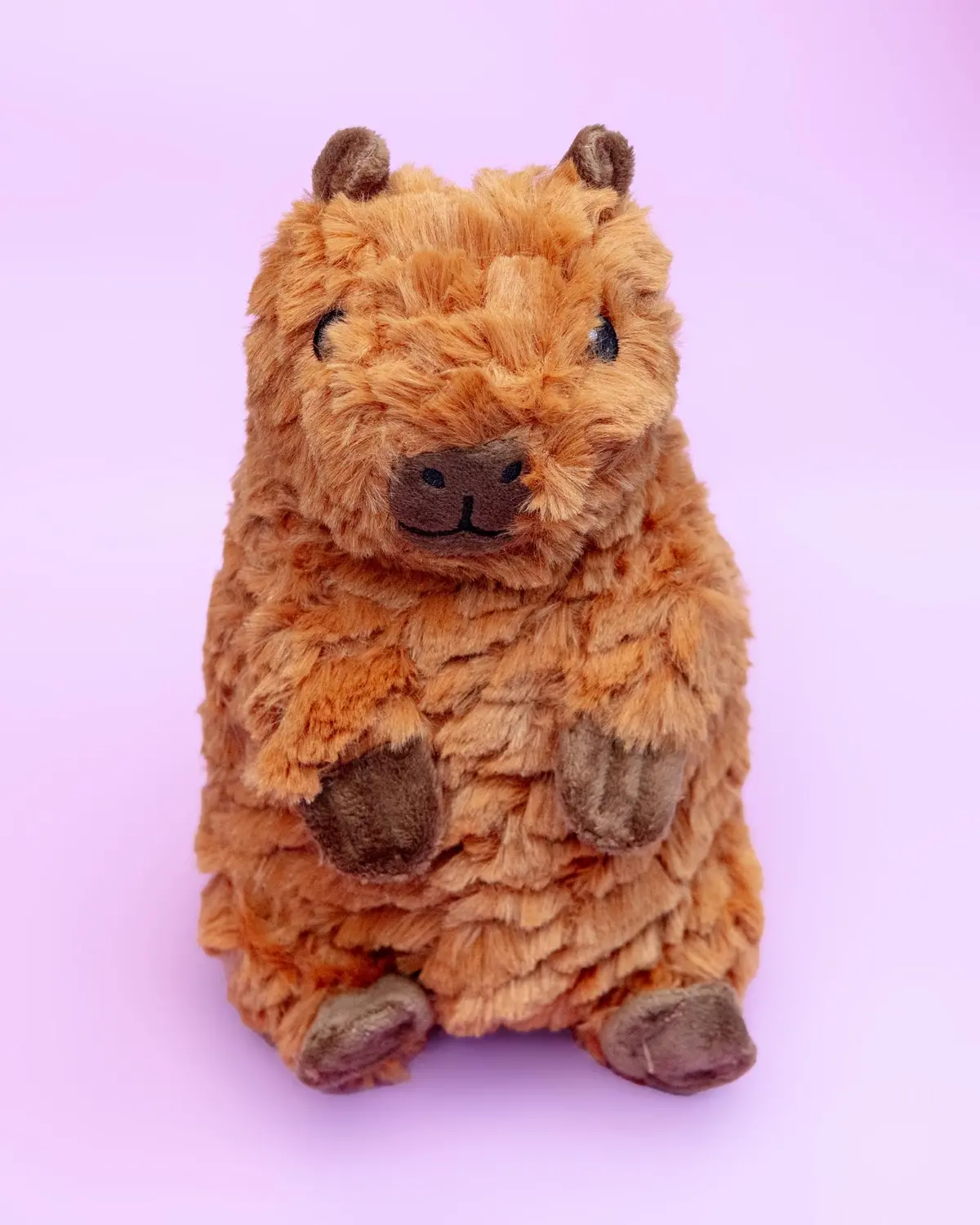 Capybara Squeaky Plush Dog Toy 1