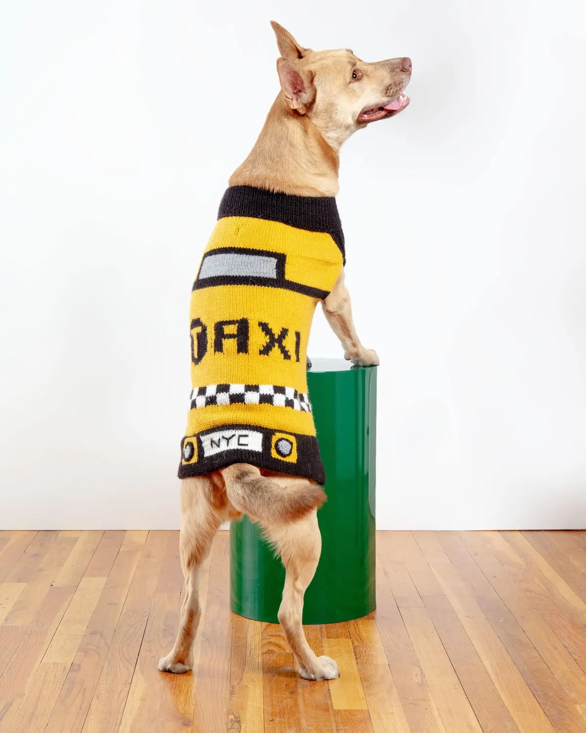 Nyc Taxi Handknit Dog Sweater (Dog & Co. Exclusive) (Final Sale) 1
