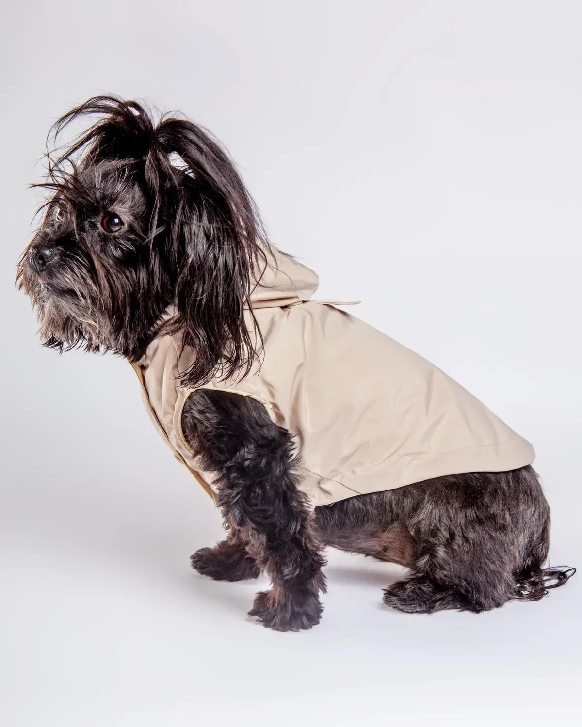 Life Dog Raincoat In Sandstone 1