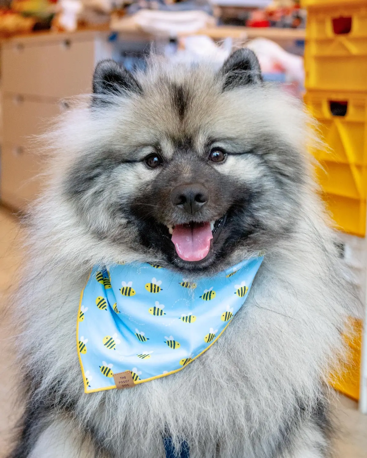 Sweet As Can Bee Dog Bandana 1
