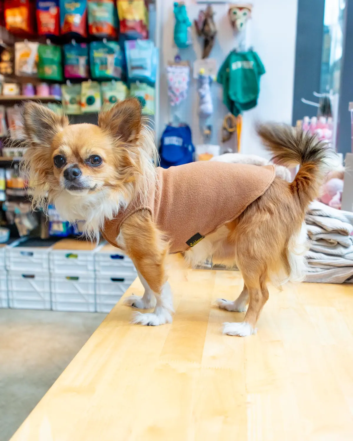 Stretch Fleece Dog Pullover In Chipmunk 1