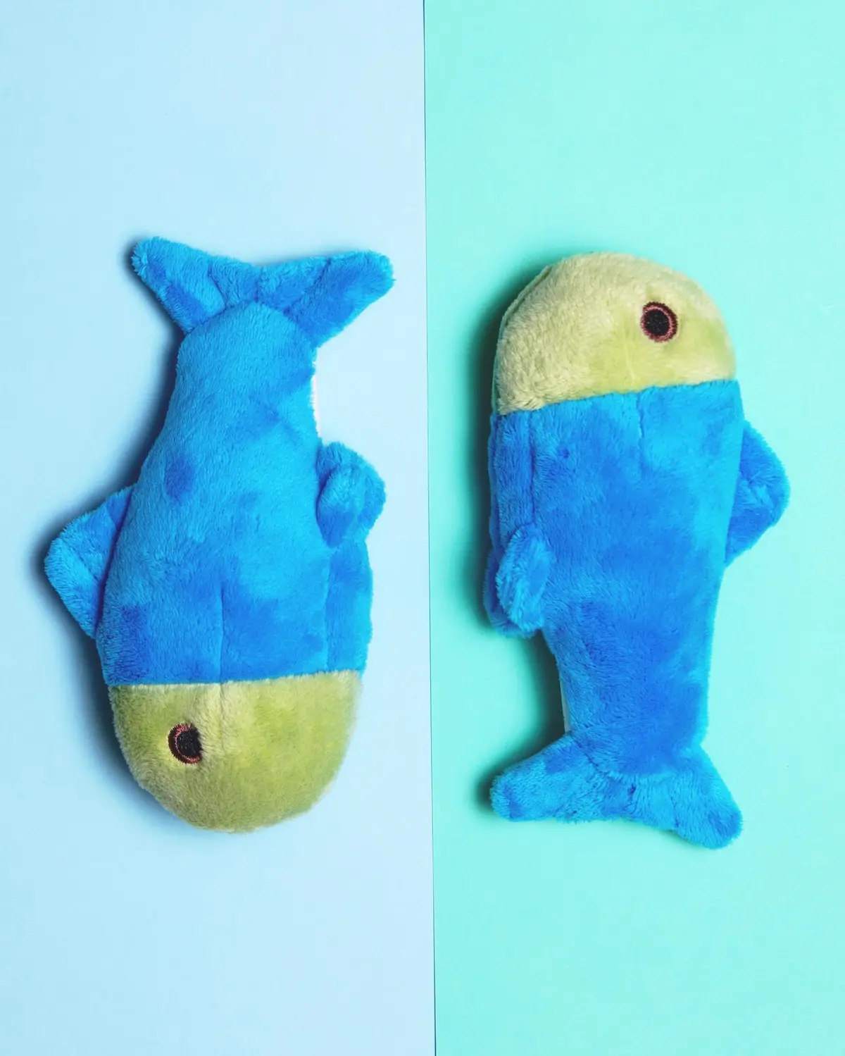 Molly Fish Squeaky Dog Plush Toy 1