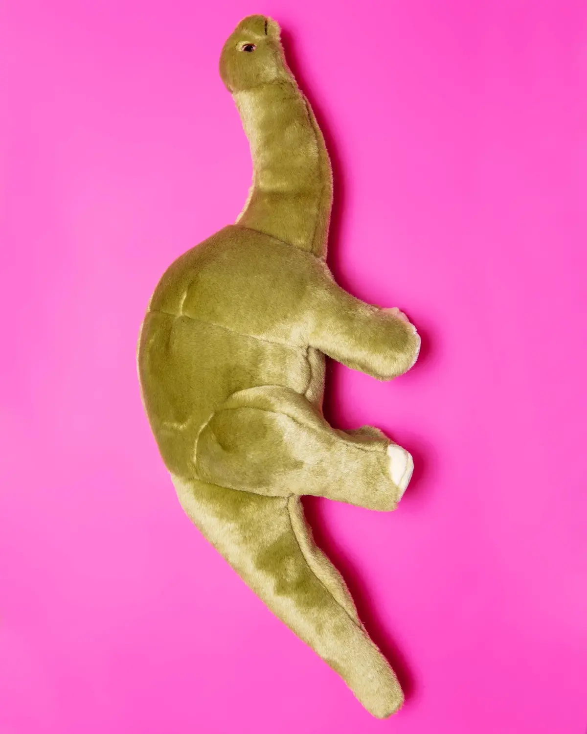 Emily Brontosaurus Squeaky Dog Plush Toy 1