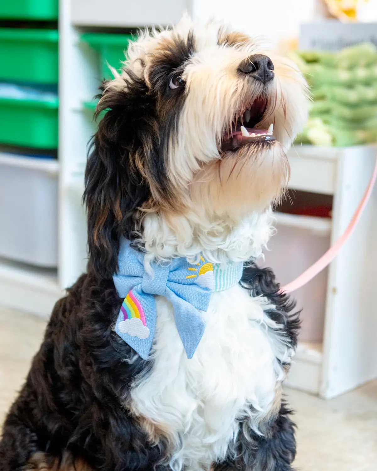 Sunshine And Rainbows Embroidered Lady Dog Bow (Made In The Usa) 1