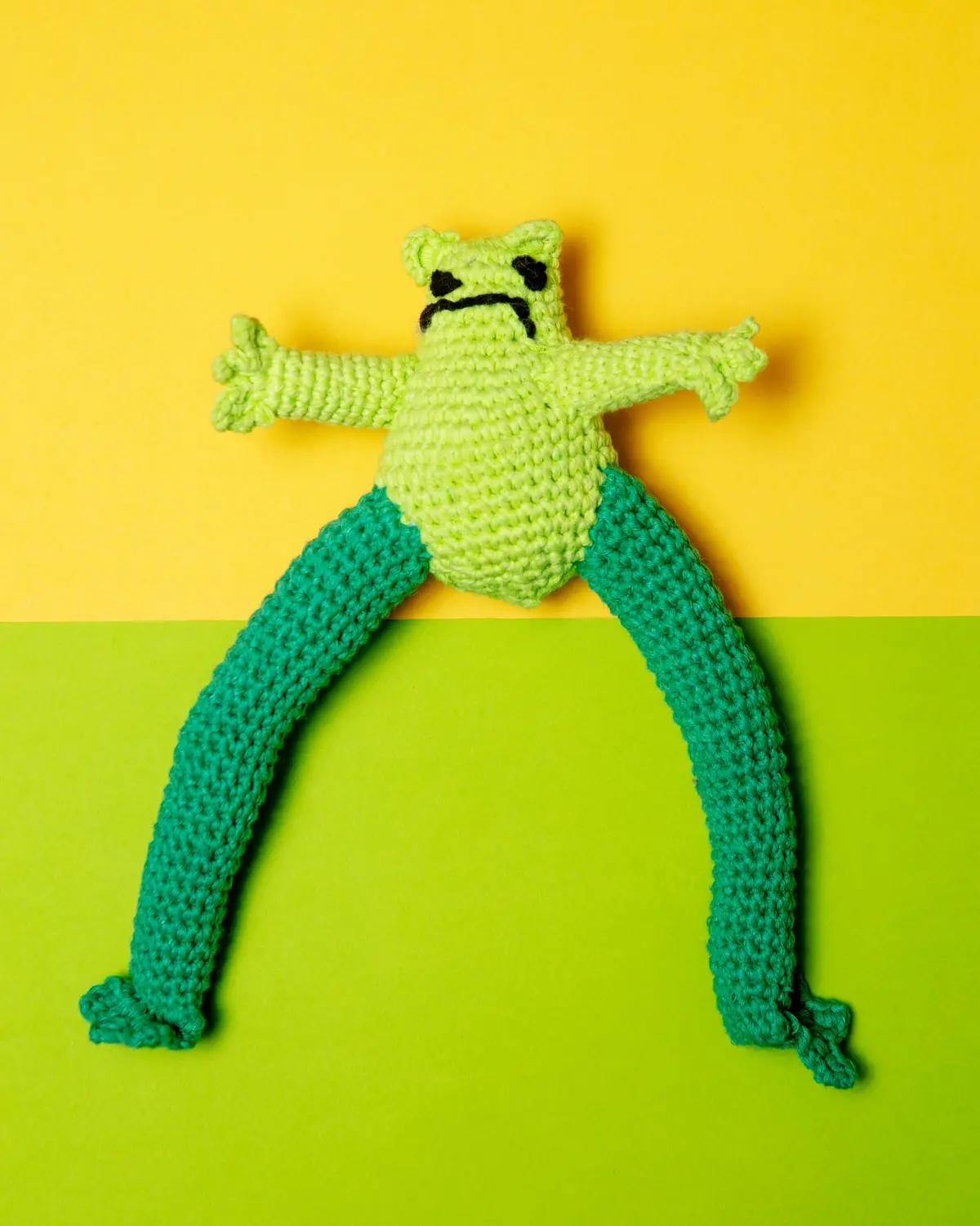 Hand Crochet Frog Dog Toy 1