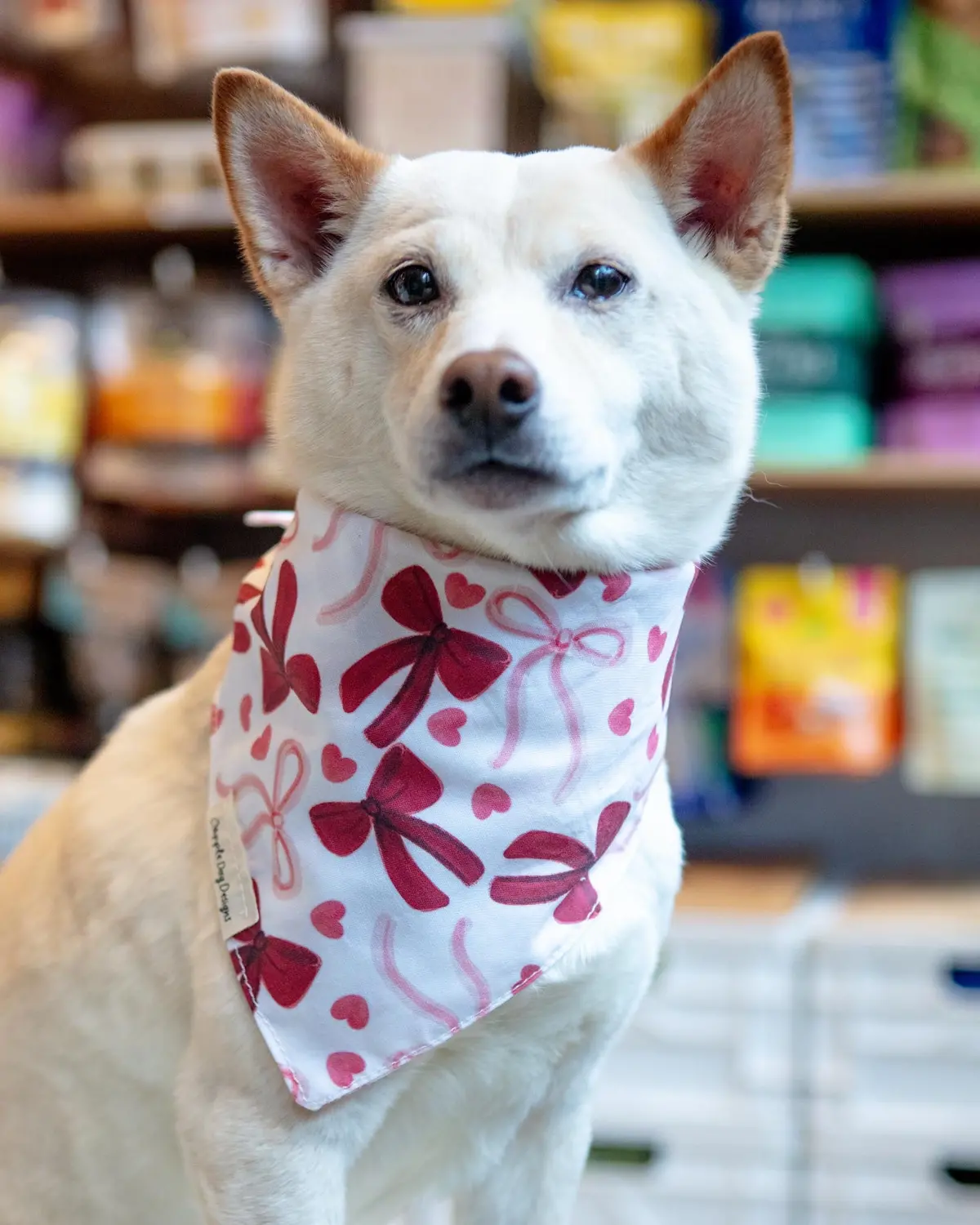 Pink Bows Dog Bandana (Made In The Usa) (Final Sale) 1