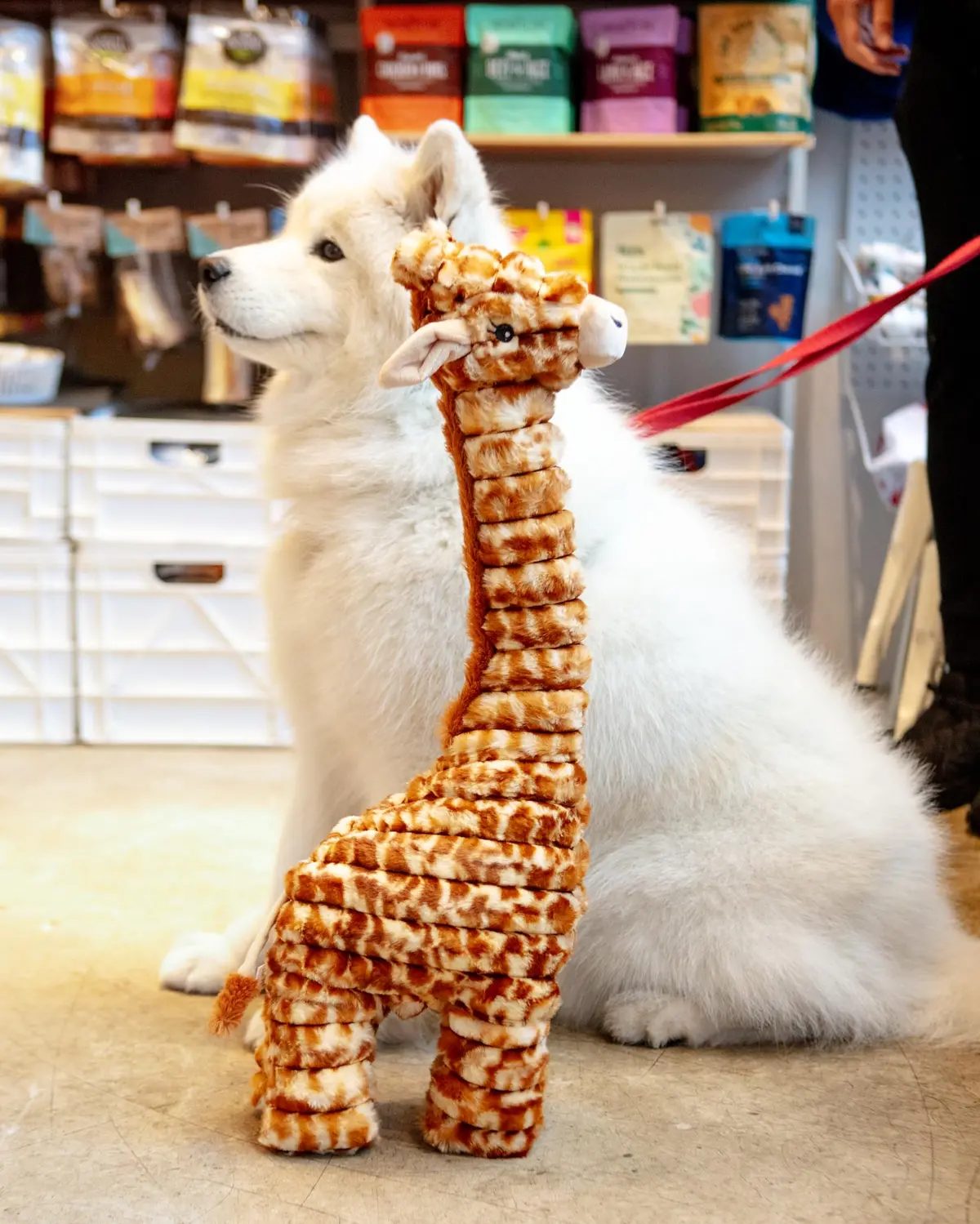 Giant Giraffe Plush Squeaky Dog Toy (26") 1
