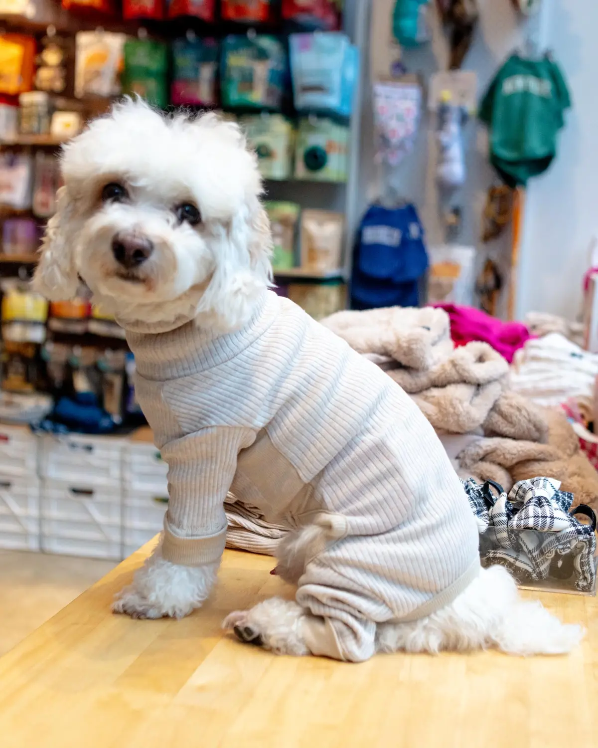 High-Neck Dog Onesie In Beige 1