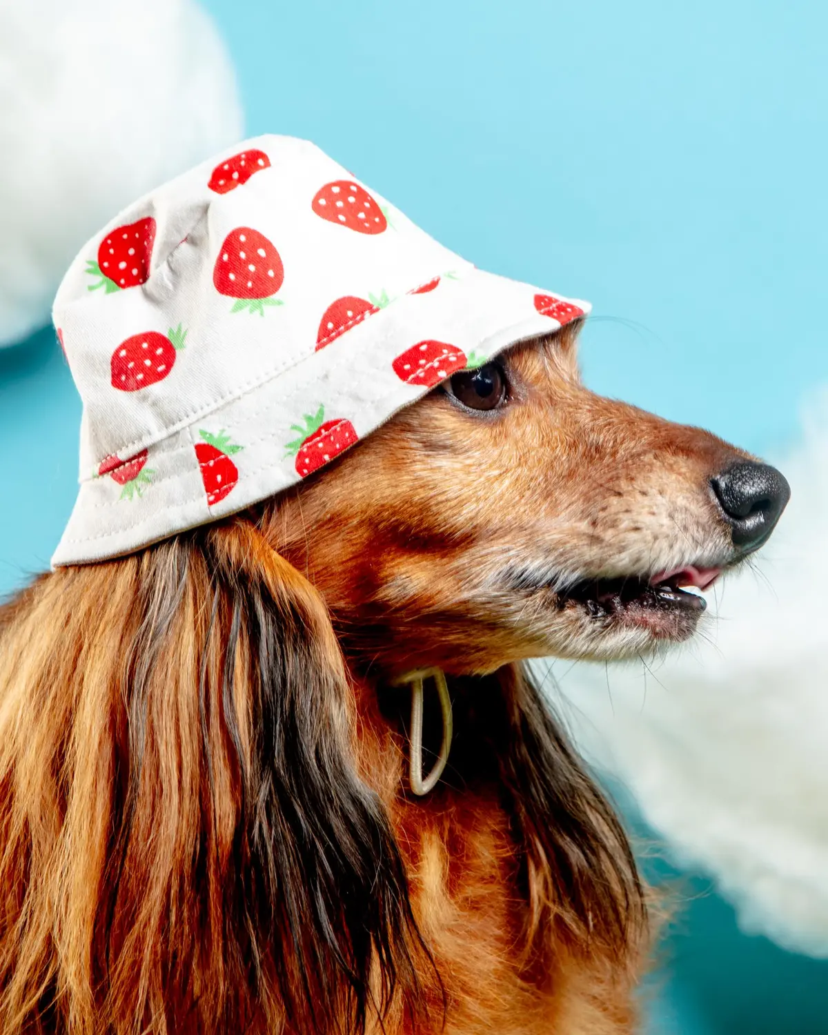 Strawberry Bucket Hat For Dogs 1