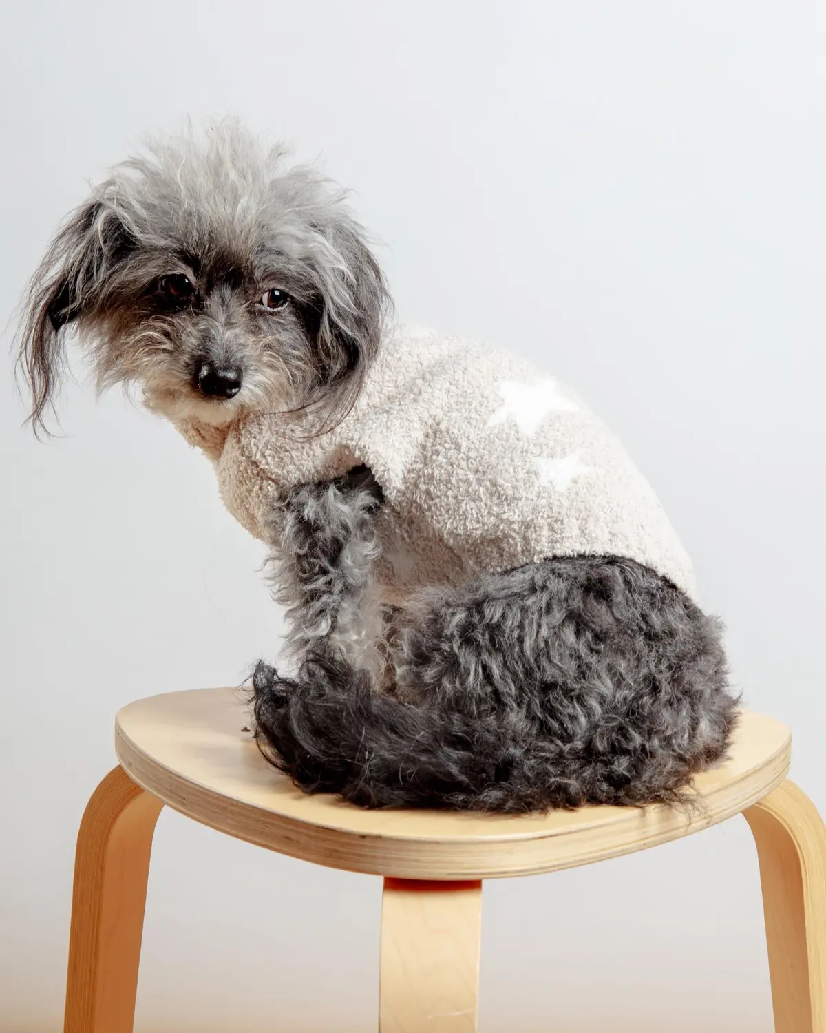 Cozychic® Starry Night Pet Sweater In Stone Pearl 1