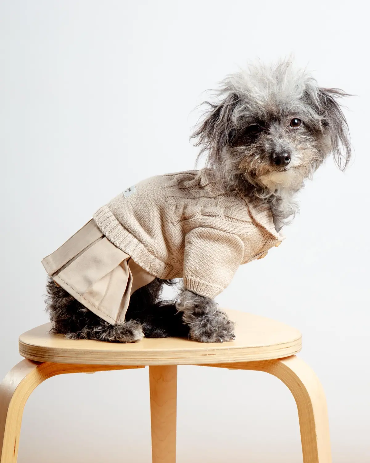 Naturalia Knit + Trench Dog Dress 1