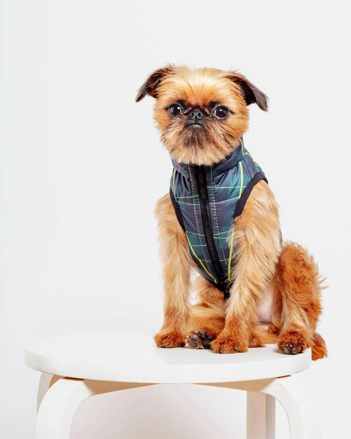 Reversible Airyvest In Hunter Plaid + Neon Yellow (Dog & Co. Exclusive) (Final Sale) 1