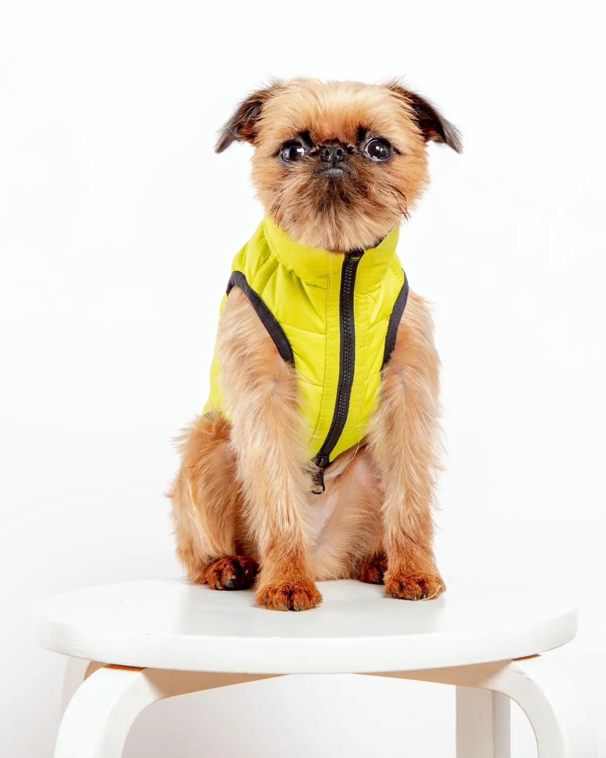 Reversible Airyvest In Hunter Plaid + Neon Yellow (Dog & Co. Exclusive) (Final Sale) 2