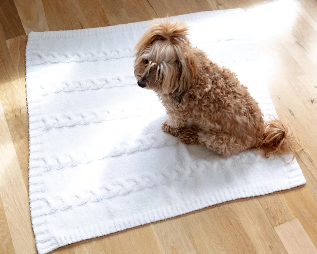 Cozychic® Heathered Cable Dog Blanket 1