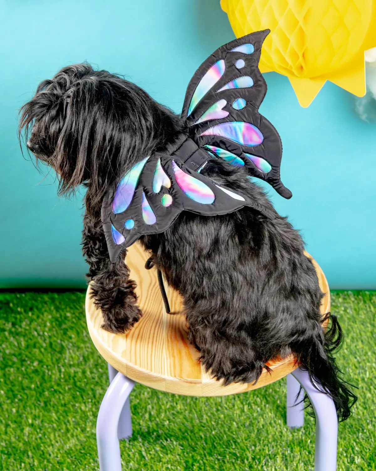 Adjustable Tie-On Butterfly Wings For Dogs 1