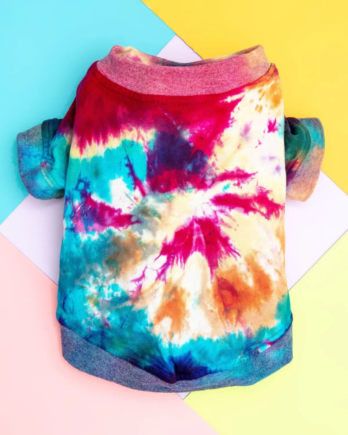 Studio Splatter Dog T-Shirt In Woodstock (Clearance) 1