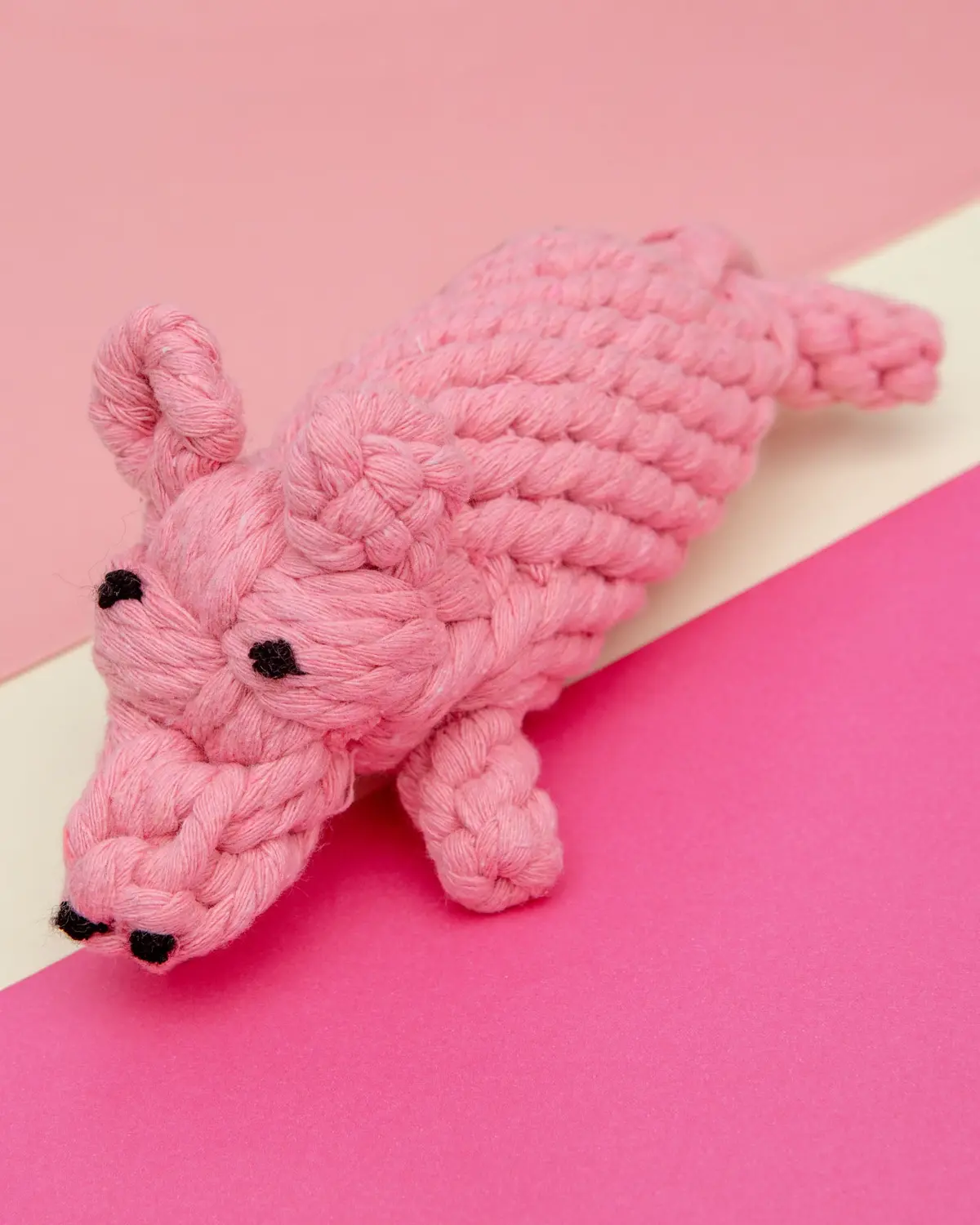 Penny The Pig Rope Dog Toy 1