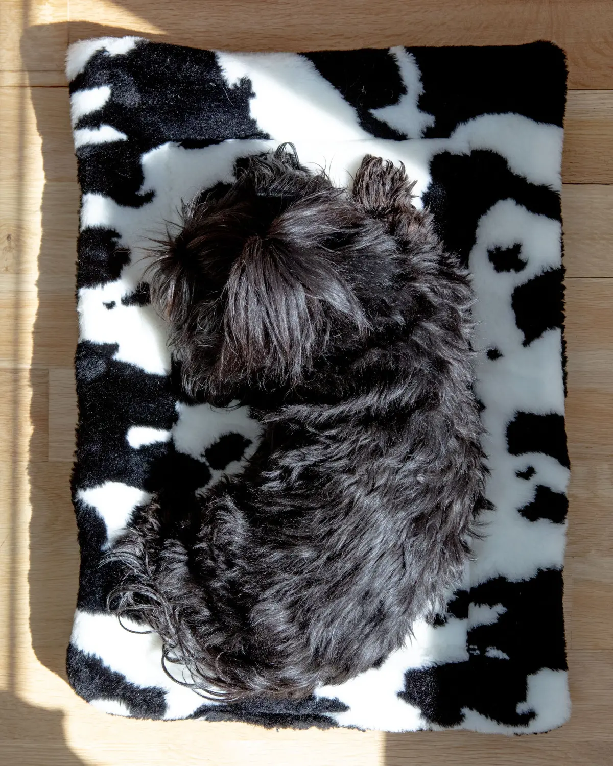 Cow Print & Plush Pet Napping Mat (Made In The Usa) (Final Sale) 1